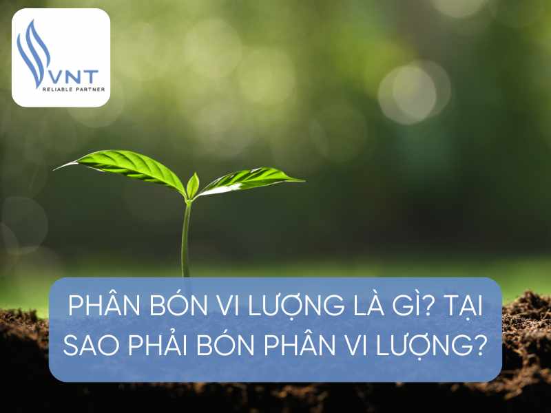 Phân vi lượng là gì??