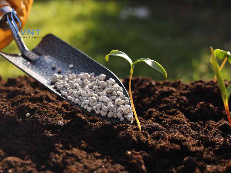 Nguồn dinh dưỡng cho cây trồng hiệu quả