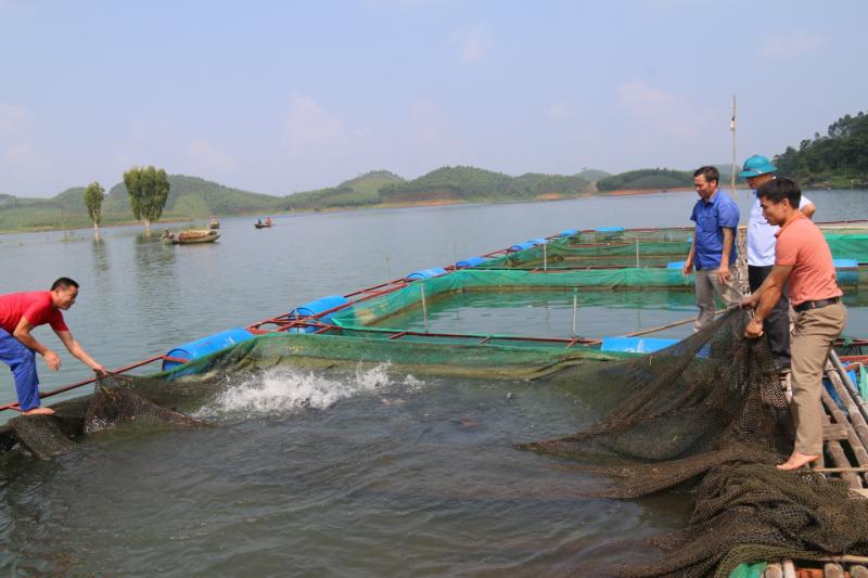Đối với thuỷ sản bị ngập lụt