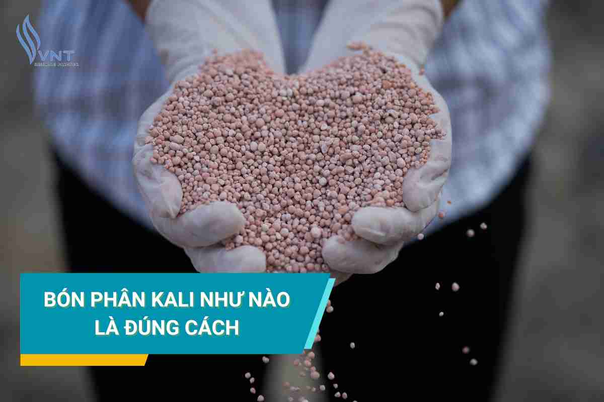 WHAT IS REASONABLE POTASSIUM FERTILIZATION??