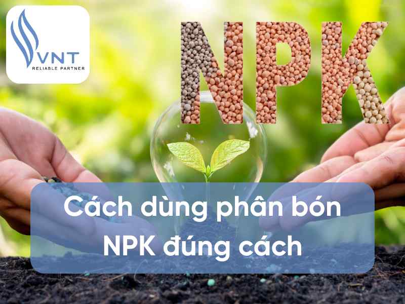 [SHARE] Cách dùng phân bón NPK đúng cách bà con nên biết!