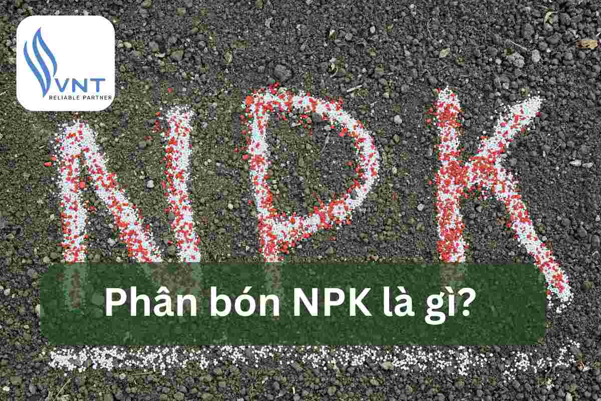 Phân bón NPK là gì? Tác dụng và cách sử dụng hiệu quả