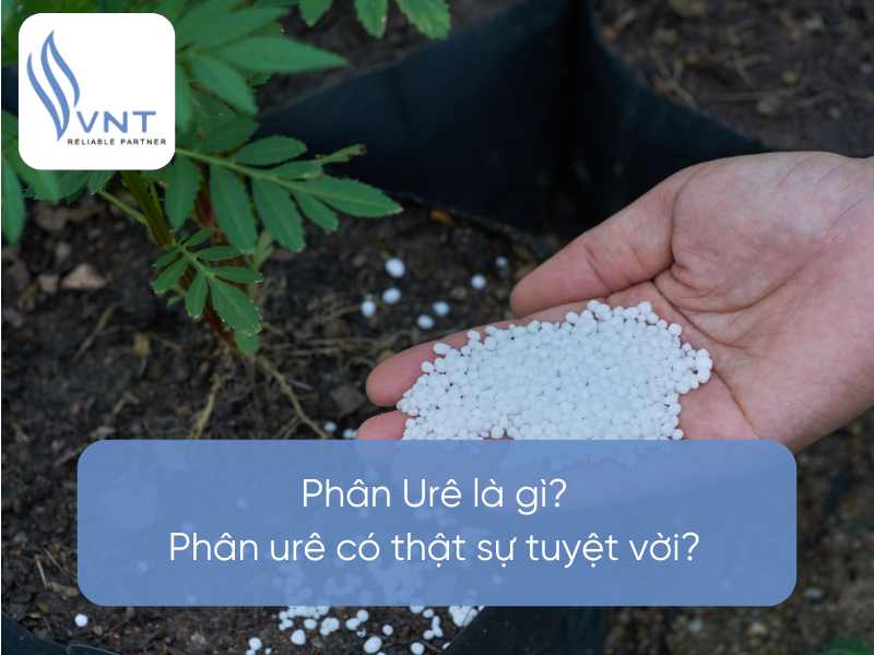 Is urea fertilizer really that great?