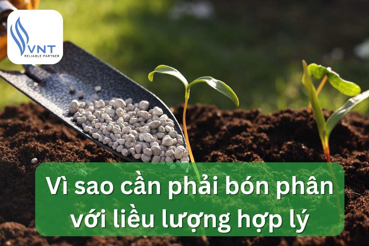 WHY NEED TO FERTILIZER WITH REASONABLE DOSE DEPENDING ON SOIL TYPE